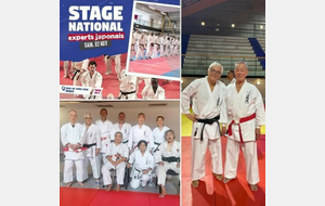 Karaté - Stage national - Experts Japonais