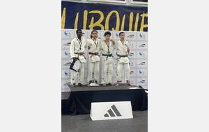 International Judo Cup - 91 FFJ