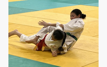 Championnat Benjamin(es) - FFJ 93