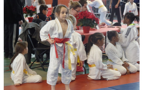 Tournoi régional du JC Pantin - FFJ 93