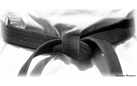 Ceinture noire 2° dan de Karaté - FFKDA