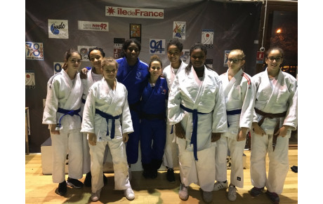 Stage Judo - Comité Essonne FFJ