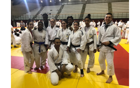 Stage cadets juniors IDF FFJ - Paris